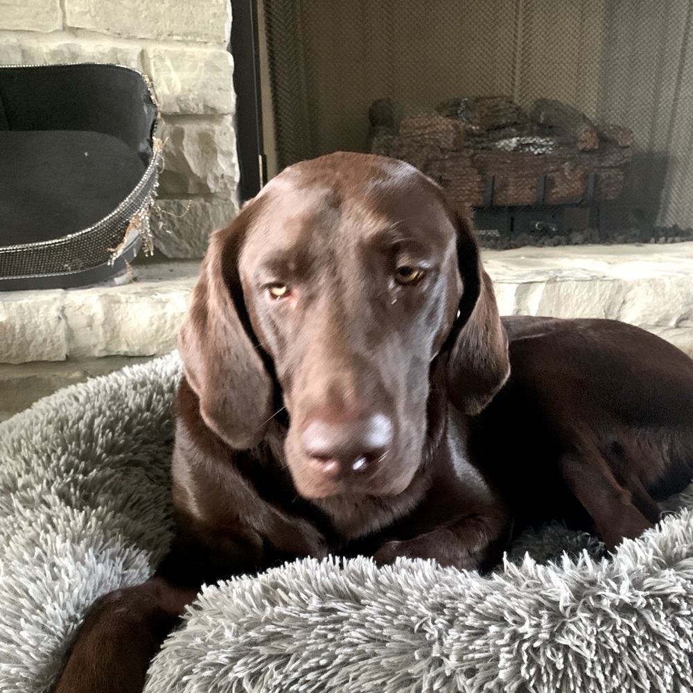 Meet your Posher, Jonathan